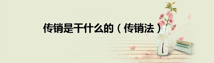 传销是干什么的（传销法）