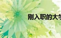 刚入职的大学生怎样理财