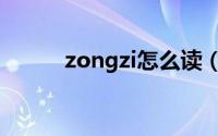 zongzi怎么读（zongzi的读音）