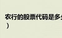 农行的股票代码是多少（农行股票代码是多少）