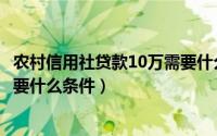 农村信用社贷款10万需要什么资料（农村信用社贷款10万需要什么条件）