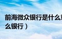 前海微众银行是什么意思（前海微众银行是什么银行）