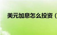 美元加息怎么投资（个人怎么投资美元）