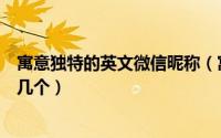 寓意独特的英文微信昵称（寓意独特的英文微信网名你知道几个）