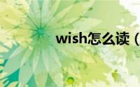 wish怎么读（wish的意思）
