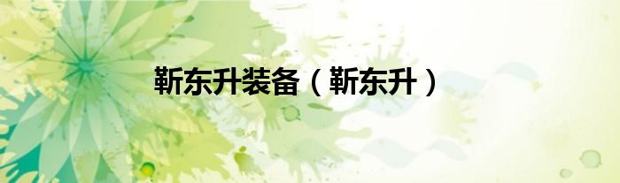 靳东升装备（靳东升）