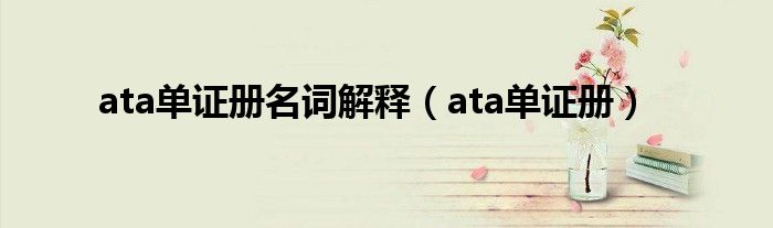 ata单证册名词解释（ata单证册）
