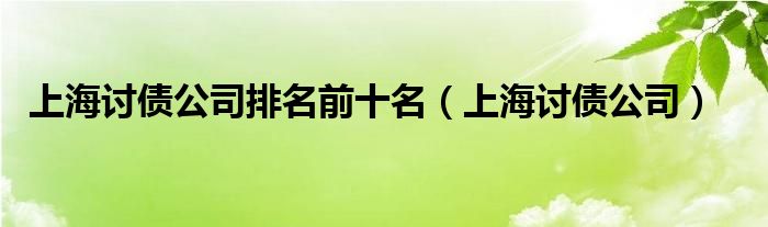 上海讨债公司排名前十名（上海讨债公司）
