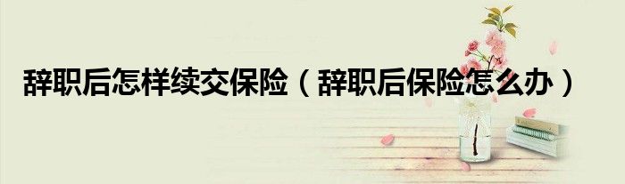 辞职后怎样续交保险（辞职后保险怎么办）
