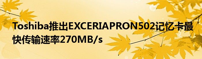 Toshiba推出EXCERIAPRON502记忆卡最快传输速率270MB/s