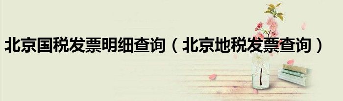 北京国税发票明细查询（北京地税发票查询）