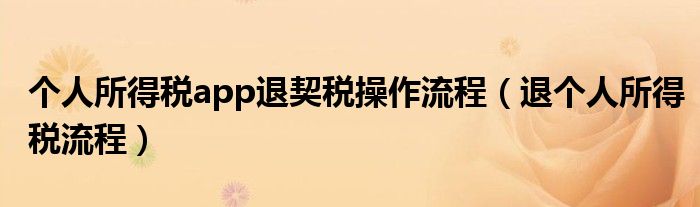个人所得税app退契税操作流程（退个人所得税流程）
