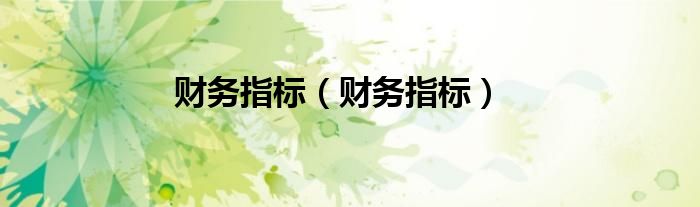 财务指标（财务指标）