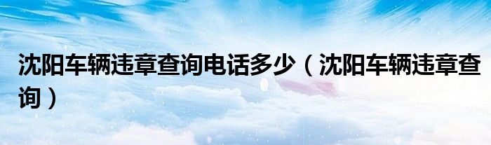 沈阳车辆违章查询电话多少（沈阳车辆违章查询）