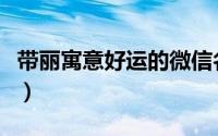 带丽寓意好运的微信名（最好听的网名带丽字）
