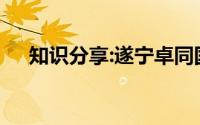 知识分享:遂宁卓同国际学校学费是多少
