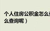 个人住房公积金怎么查询（个人住房公积金怎么查询呢）