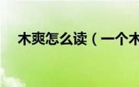 木爽怎么读（一个木加一个爽是什么字）