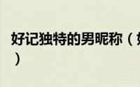好记独特的男昵称（好记独特的男昵称有哪些）