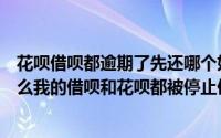 花呗借呗都逾期了先还哪个好（我没有出现过逾期情况为什么我的借呗和花呗都被停止使用了）