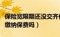 保险宽限期还没交齐保费（保险宽限期可以不缴纳保费吗）