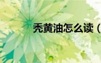 秃黄油怎么读（秃黄油的读音）
