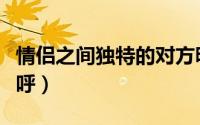 情侣之间独特的对方昵称（独一无二的情侣称呼）