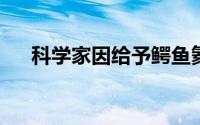 科学家因给予鳄鱼氦气让其喊叫而获奖