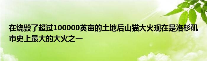 在烧毁了超过100000英亩的土地后山猫大火现在是洛杉矶市史上最大的大火之一