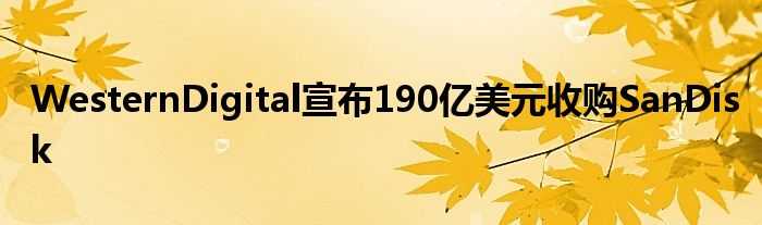 WesternDigital宣布190亿美元收购SanDisk
