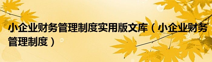 小企业财务管理制度实用版文库（小企业财务管理制度）