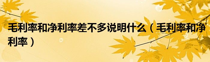 毛利率和净利率差不多说明什么（毛利率和净利率）