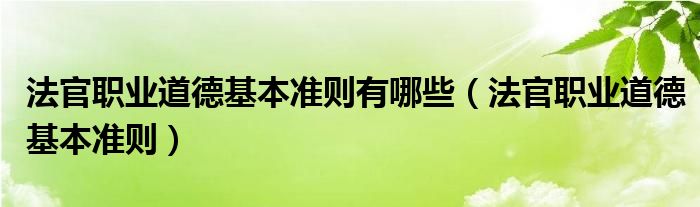 法官职业道德基本准则有哪些（法官职业道德基本准则）