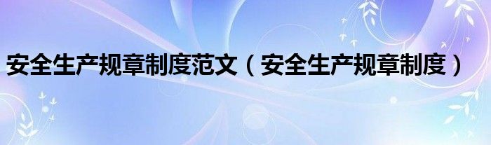 安全生产规章制度范文（安全生产规章制度）