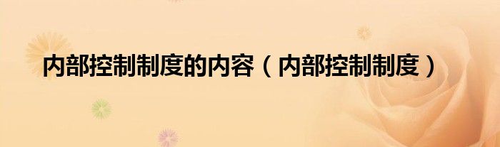 内部控制制度的内容（内部控制制度）