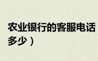 农业银行的客服电话（农业银行的客服电话是多少）