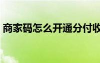 商家码怎么开通分付收款（商家码怎么开通）