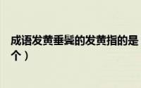 成语发黄垂鬓的发黄指的是（成语发黄垂鬓的发黄指的是哪个）