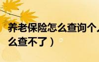 养老保险怎么查询个人账户余额（养老保险怎么查不了）