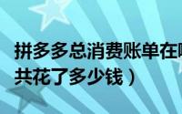 拼多多总消费账单在哪里看（拼多多怎么看一共花了多少钱）
