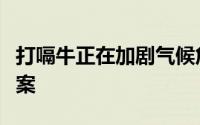 打嗝牛正在加剧气候危机这家公司说有解决方案