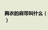 胸衣的肩带叫什么（信用等级d级什么意思啊）