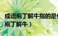 成语庖丁解牛指的是什么意思（怎样解释成语庖丁解牛）