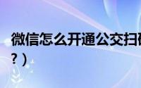 微信怎么开通公交扫码（微信怎么开通微贷粒?）