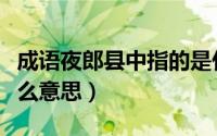 成语夜郎县中指的是什么（成语夜郎自大是什么意思）