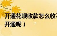 开通花呗收款怎么收不了（开通花呗收款怎么开通呢）