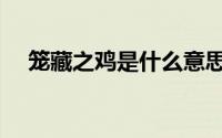 笼藏之鸡是什么意思（笼藏之鸡的意思）