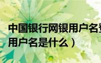 中国银行网银用户名登录密码（中国银行网银用户名是什么）