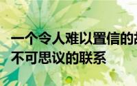一个令人难以置信的故事一个人与章鱼形成了不可思议的联系