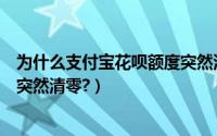 为什么支付宝花呗额度突然没有了（为什么支付宝花呗额度突然清零?）